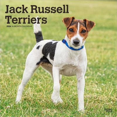 Jack Russell Terriers 2026 12 X 24 Inch (Hangin... B0DYLQ2Y97 Book Cover