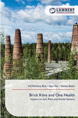 Brick Kilns and One Health 620940118X Book Cover