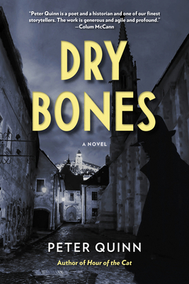Dry Bones 0823297934 Book Cover