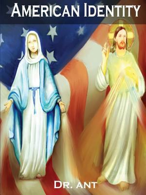 American Identity 1387041711 Book Cover
