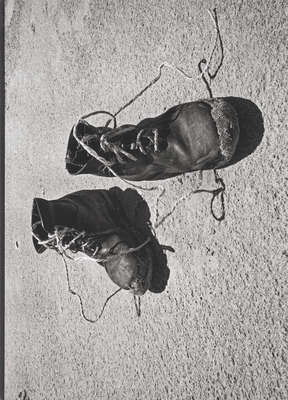 Josef Koudelka: Diaries 1597115932 Book Cover