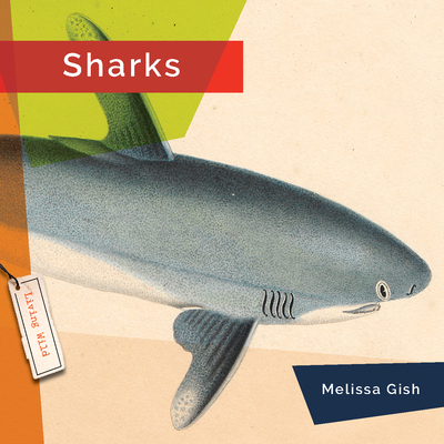 Sharks 164026535X Book Cover