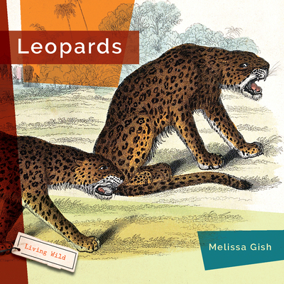 Leopards 1640265295 Book Cover