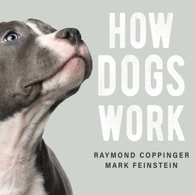 How Dogs Work 1665292903 Book Cover