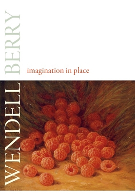 Imagination in Place 1582436843 Book Cover