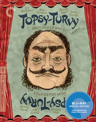 Topsy-Turvy B004GFGUCW Book Cover