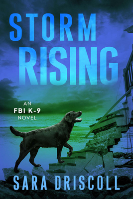 Storm Rising 1496754344 Book Cover