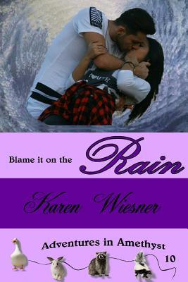 Blame it on the Rain, Adventures in Amethyst Se... 0359255191 Book Cover