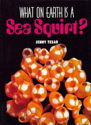 What on Earth is a Sea Squirt? 1567110916 Book Cover