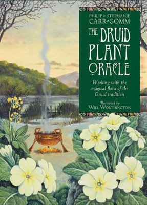 Druid Plant Oracle: Working with the Magical Fl... 1859064191 Book Cover