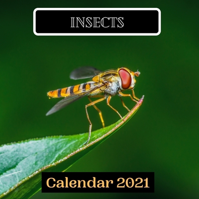 Insects Calendar 2021 B08PQSQG97 Book Cover