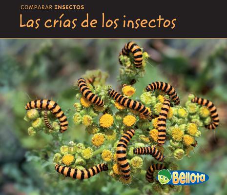 Las Cr?as de Los Insectos = Bug Babies [Spanish] 1432943278 Book Cover