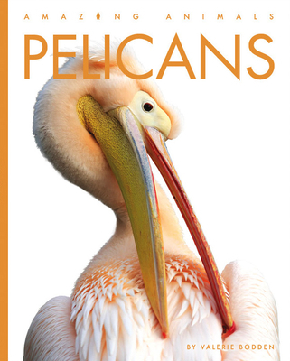 Pelicans 1682771296 Book Cover