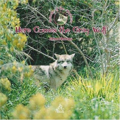 Here Comes the Gray Wolf 1594378436 Book Cover