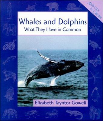 Whales and Dolphins: What They Have in Common 0613350367 Book Cover