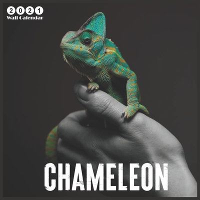 2021 chameleon: 2021 Wall & Office Calendar, 12 Month Calendar