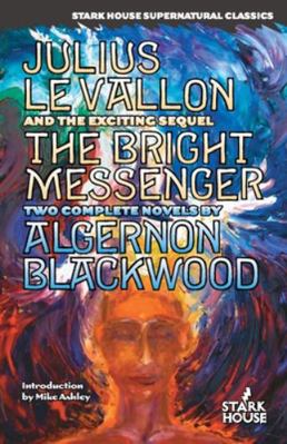 Julius LeVallon / The Bright Messenger 1481953516 Book Cover
