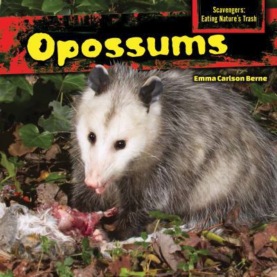 Opossums 1477766030 Book Cover