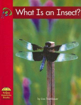 What Is an Insect? 0736817085 Book Cover