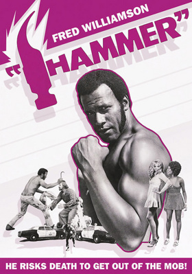 Hammer            Book Cover