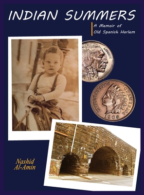 Indian Summers 1088070256 Book Cover