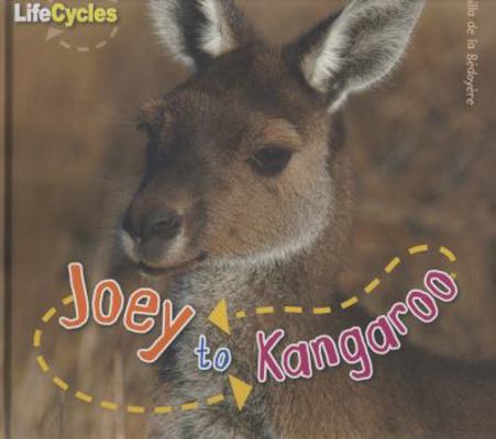 Life Cycle Joey to Kangaroo 1848351712 Book Cover