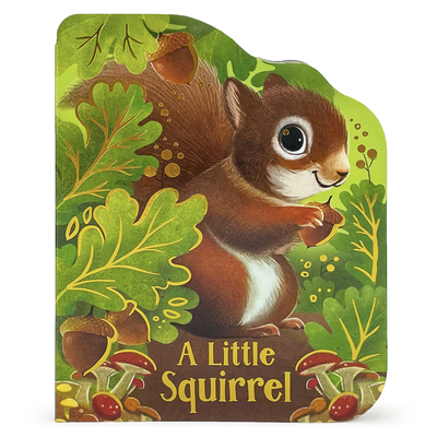 A Little Squirrel 1646386426 Book Cover