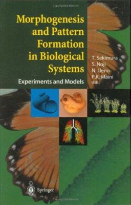 Morphogenesis and Pattern Formation in Biologic... 4431006443 Book Cover
