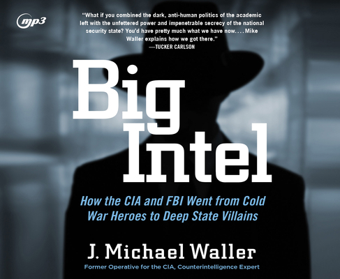 Big Intel: How the CIA Went from Cold War Heroe... 1685924743 Book Cover