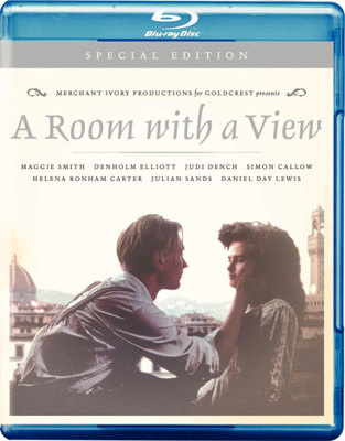 A Room with a View Book Cover