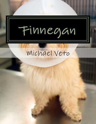 Finnegan 1981216987 Book Cover