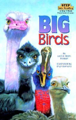 Big Birds Step 1 0613212118 Book Cover