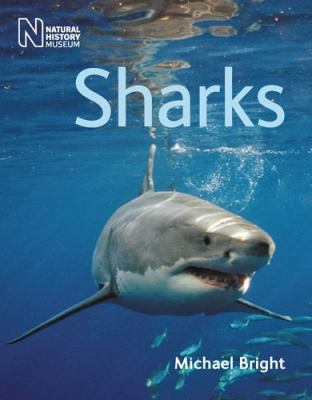 Sharks 0565092898 Book Cover
