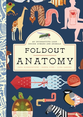 Foldout Anatomy: An Interactive Look Inside Hum... 1638191298 Book Cover