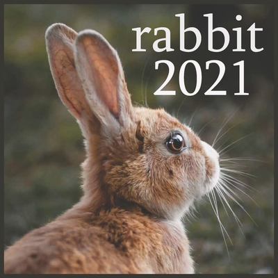 rabbit: 2021 Monthly Square Wall Calendar, Domestic Animals Small Pets