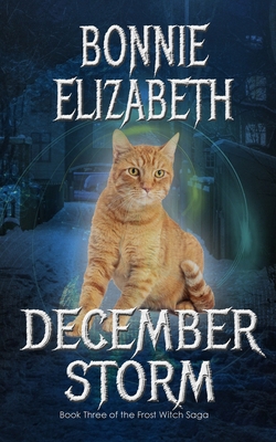 December Storm 1953363032 Book Cover
