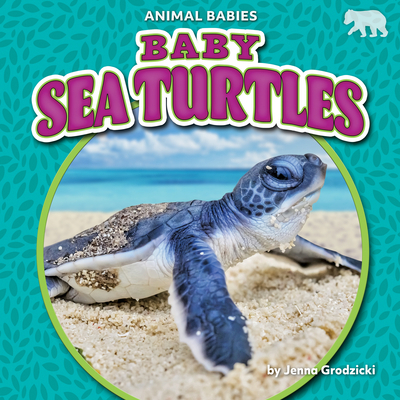 Baby Sea Turtles 1636913652 Book Cover