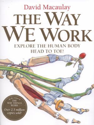 The Way We Work: Explore the Human Body - Head ... 1406322229 Book Cover