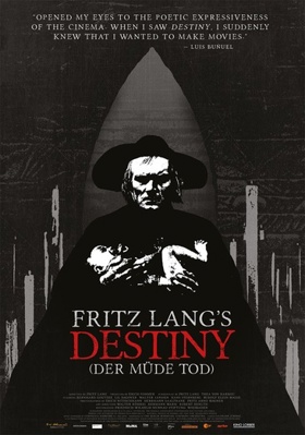Destiny [German]            Book Cover