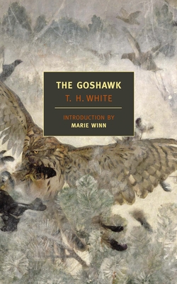 The Goshawk 1590172493 Book Cover