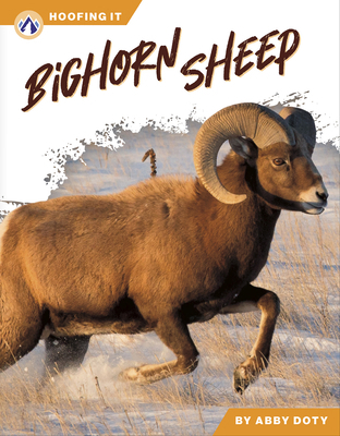 Bighorn Sheep B0GH2FQG4K Book Cover