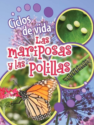 Ciclos de Vida de Las Mariposas Y Las Polillas:... [Spanish] 162717401X Book Cover