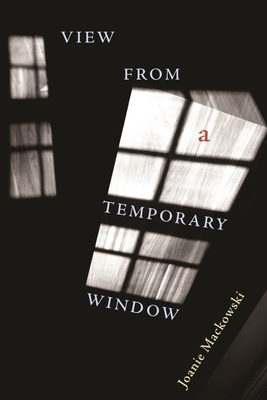 View from a Temporary Window 0822960559 Book Cover