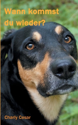 Wann kommst du wieder? [German] 3753473391 Book Cover
