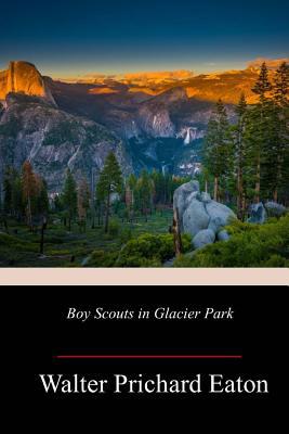 Boy Scouts in Glacier Park 171930341X Book Cover