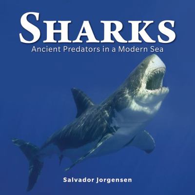 Sharks: Ancient Predators in a Modern Sea 0228100801 Book Cover