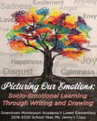Paperback Picturing Our Emotions: Socio-Emotional Learning Through Writing and Drawing Book