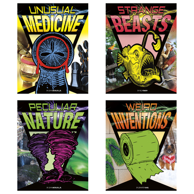 Anything But Ordinary 1496685490 Book Cover