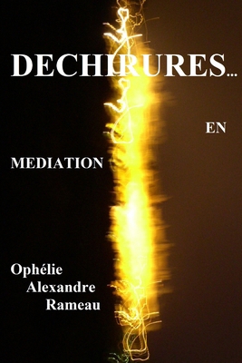 Déchirures...: En médiation ! [French] B09RM8GKHM Book Cover