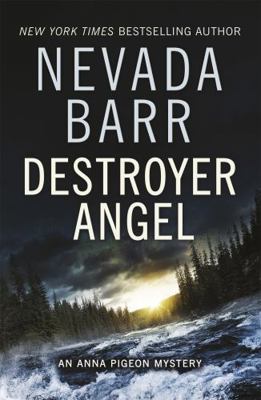 Destroyer Angel 1472202287 Book Cover